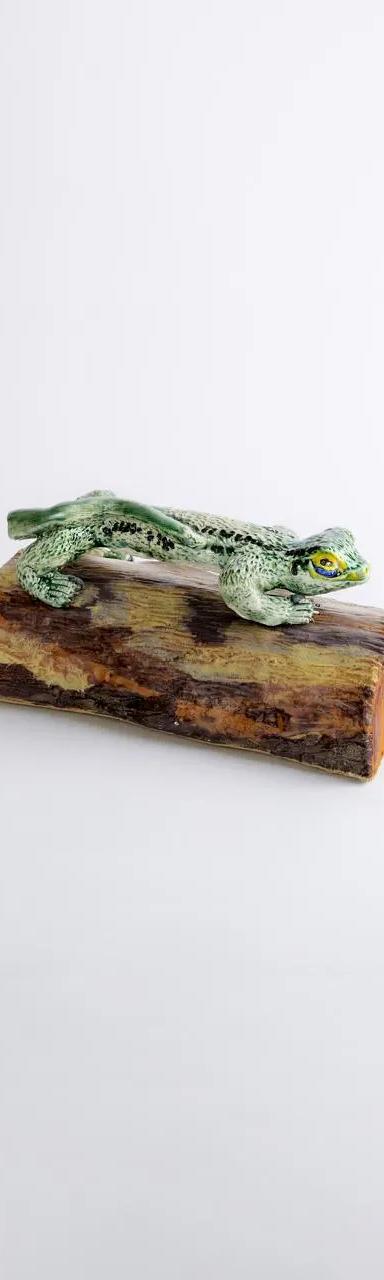 Lagarto Chillòn  - vista 1