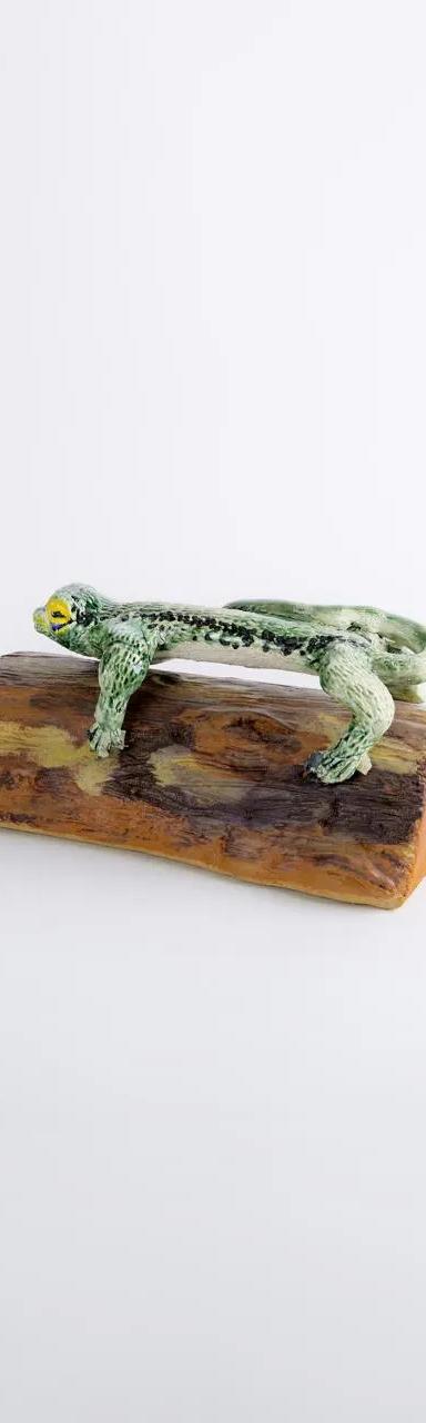 Lagarto Chillòn  - vista 3
